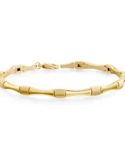 Boccia Titanium Armbänder-Armband Titan Glieder Verlauf goldf. 03037-03