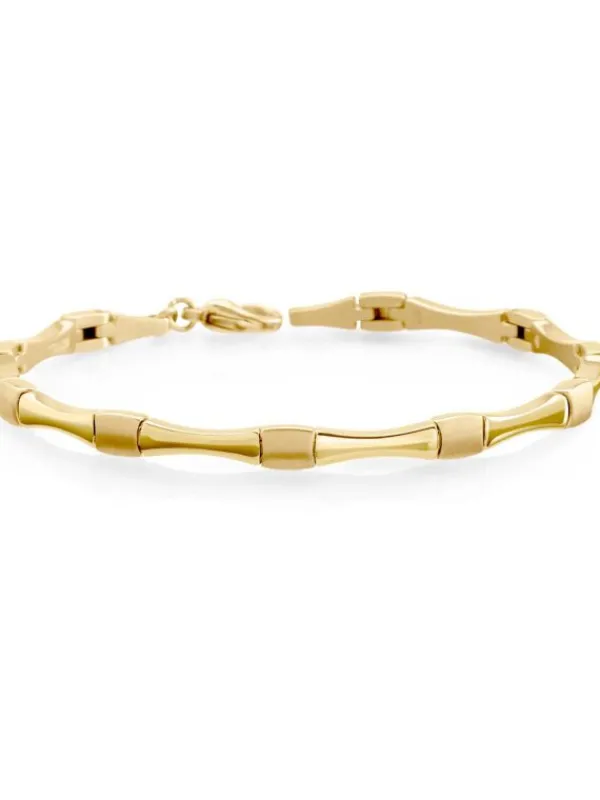 Boccia Titanium Armbänder-Armband Titan Glieder Verlauf goldf. 03037-03