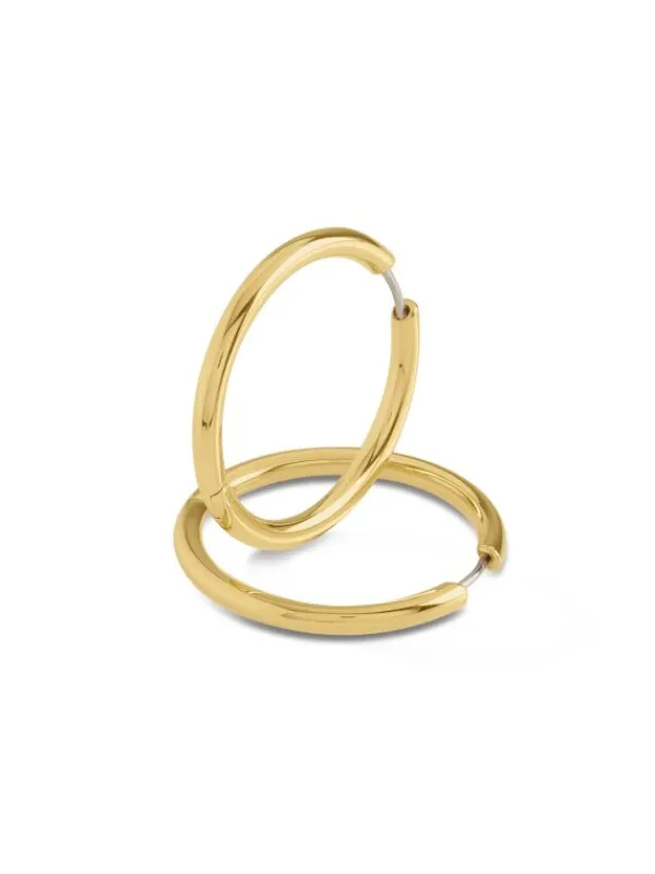 Boccia Titanium Ohrschmuck-CREOLE 31mm Titan goldf. 05073-02