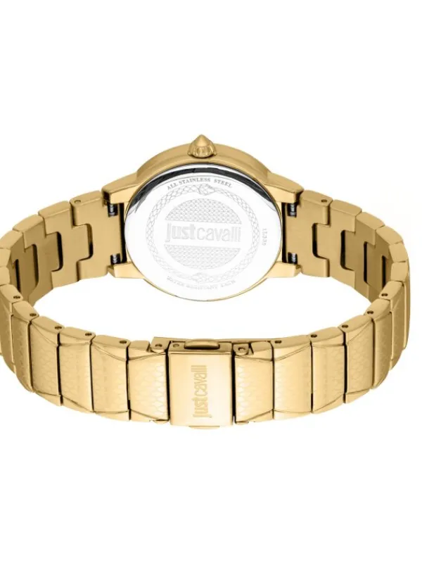 Just Cavalli Damenuhren-Passione Türkis JC1L335M0035